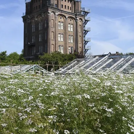 アウグストゥス ドルドレヒト