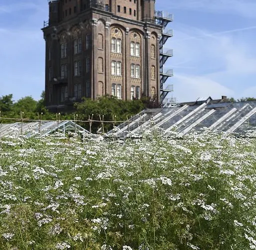 アウグストゥス ドルドレヒト