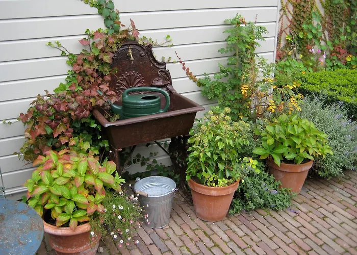 Augustus 4* Dordrecht