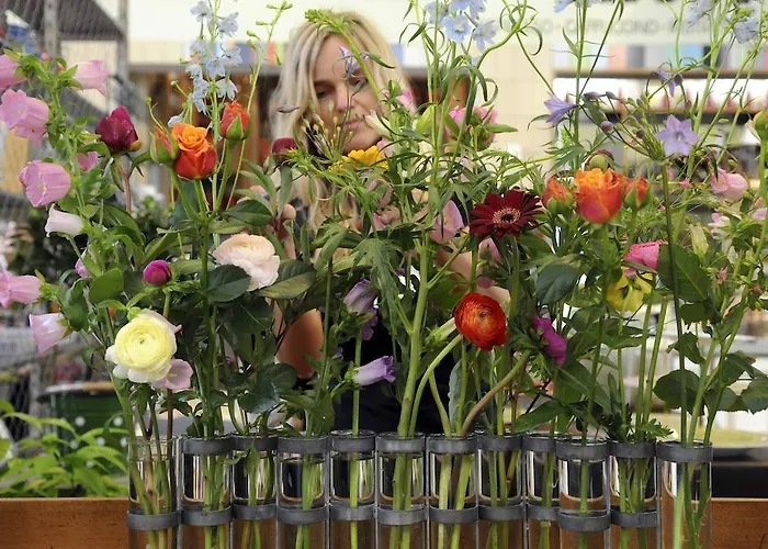 アウグストゥス ドルドレヒト